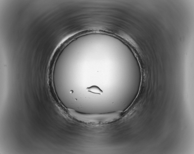 X0000086801020200704271846