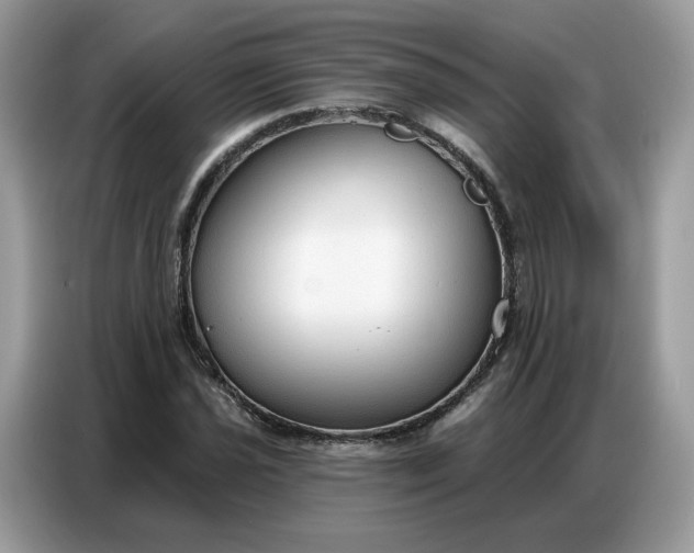 X0000086801021200704271846