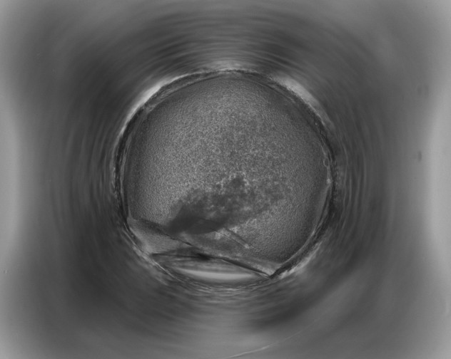 X0000086801023200704271846