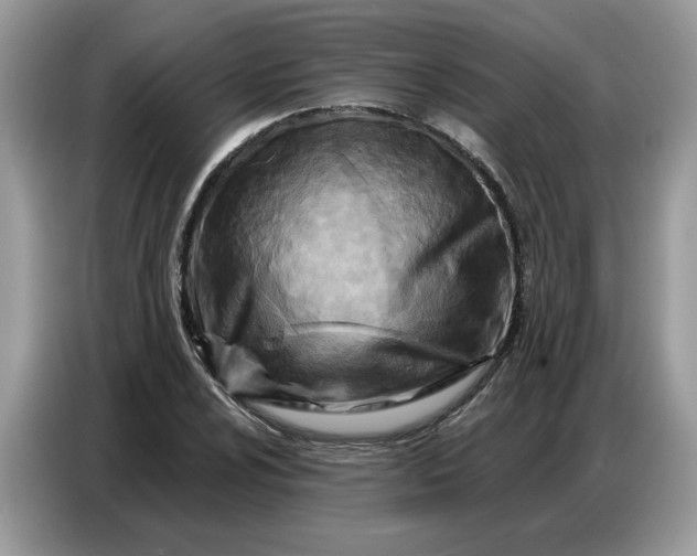 X0000086801024200704271846