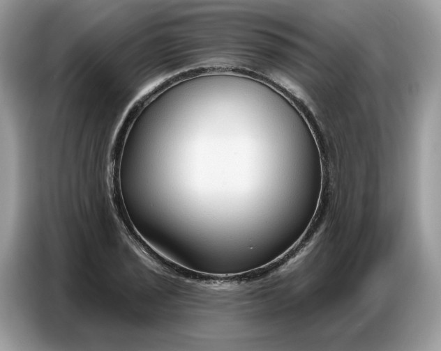 X0000086801029200704271846