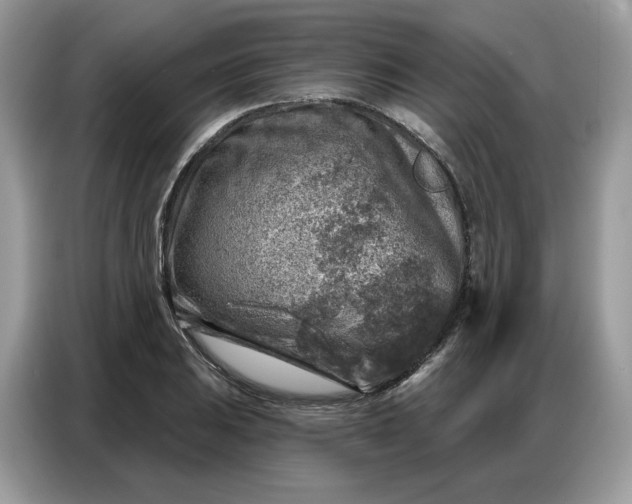 X0000086801031200704271846