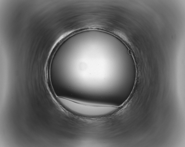 X0000086801032200704271846