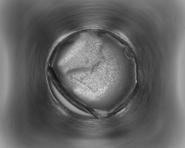 X0000086801035200704271846