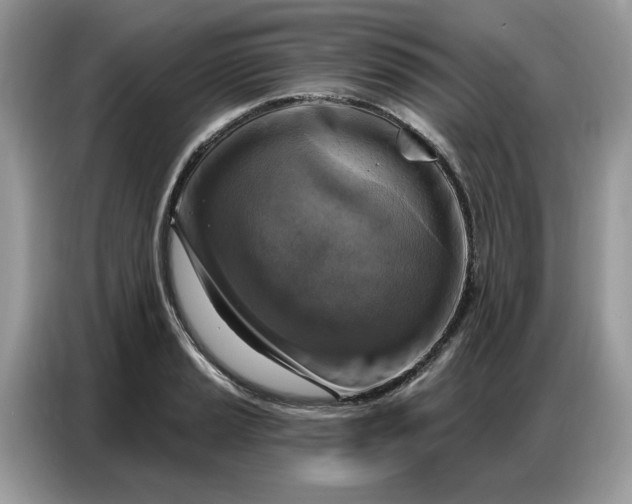 X0000086801037200704271846