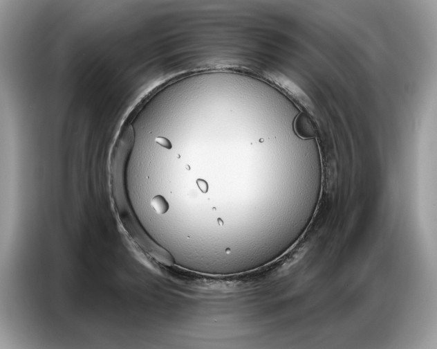 X0000086801039200704271846