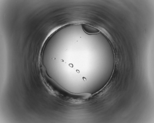 X0000086801044200704271846