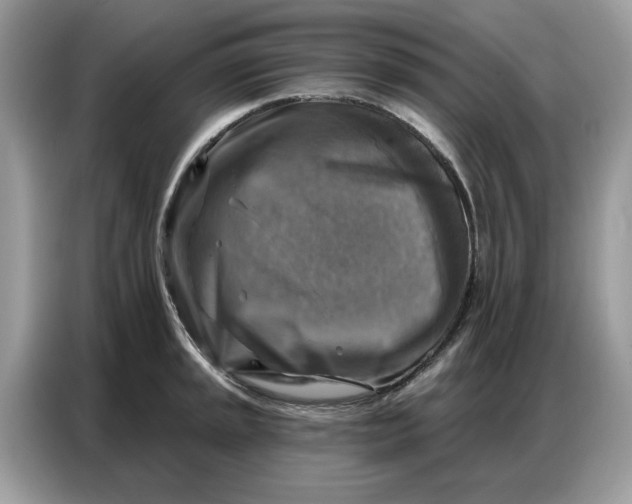 X0000086801045200704271846