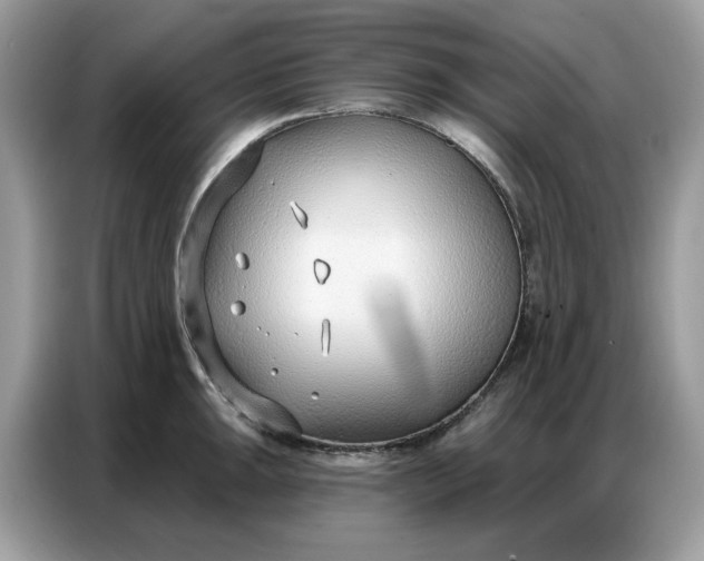 X0000086801047200704271846