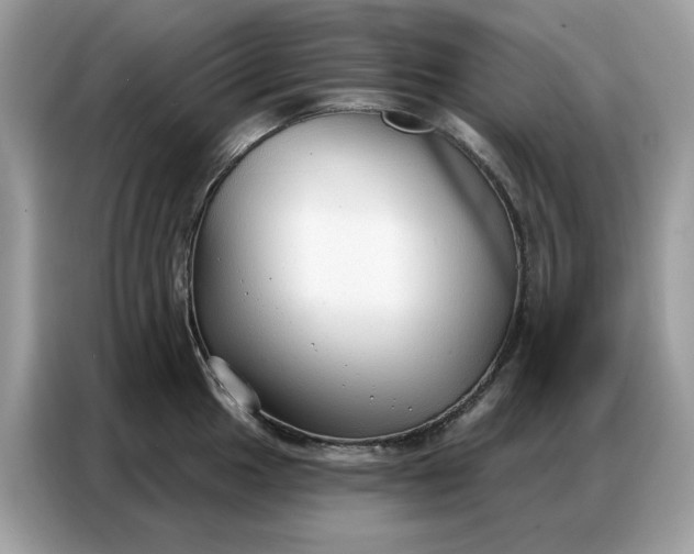 X0000086801049200704271846