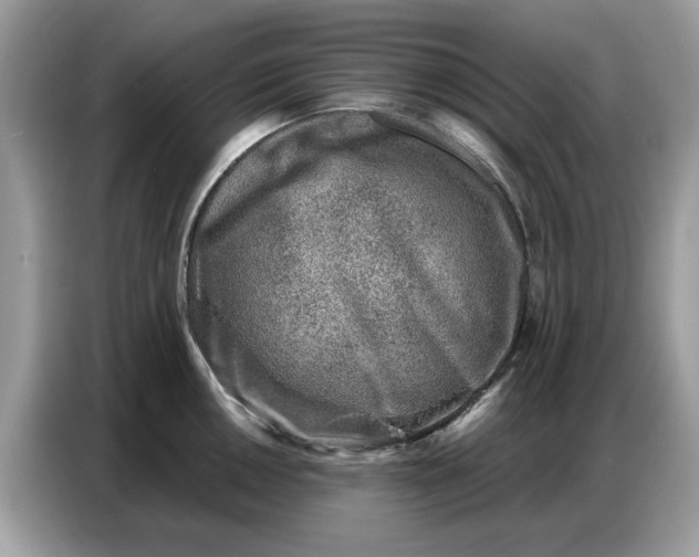 X0000086801050200704271846