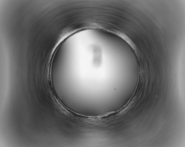 X0000086801052200704271846