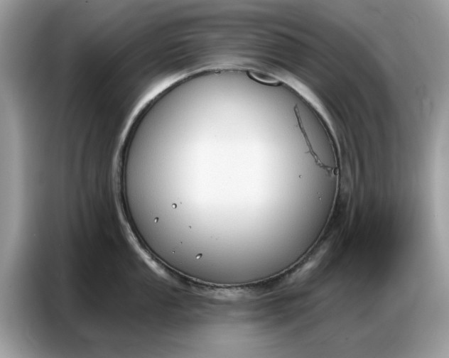 X0000086801053200704271846