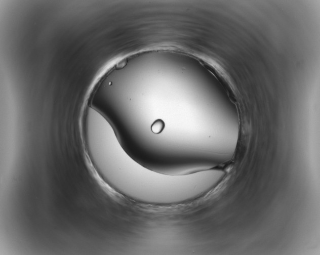 X0000086801054200704271846