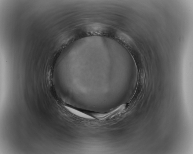 X0000086801060200704271846