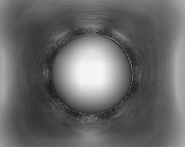 X0000086801061200704271846