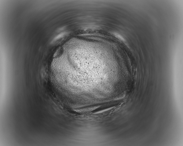 X0000086801063200704271846