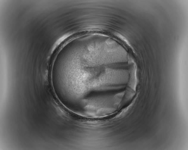 X0000086801066200704271846