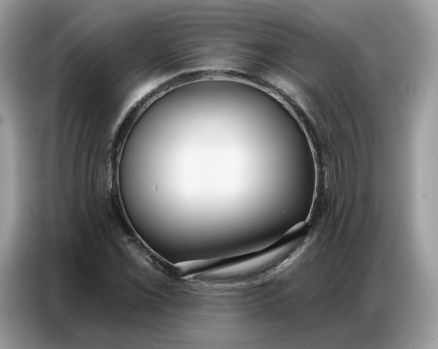 X0000086801069200704271845