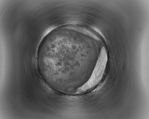 X0000086801071200704271845