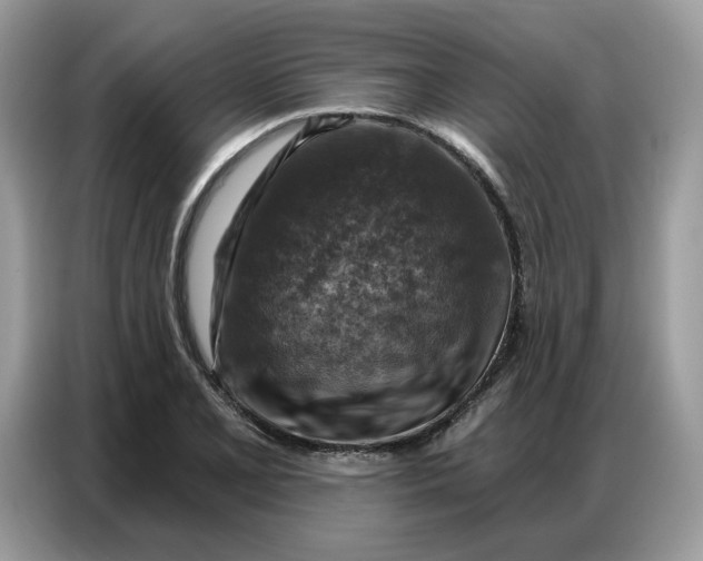 X0000086801077200704271845