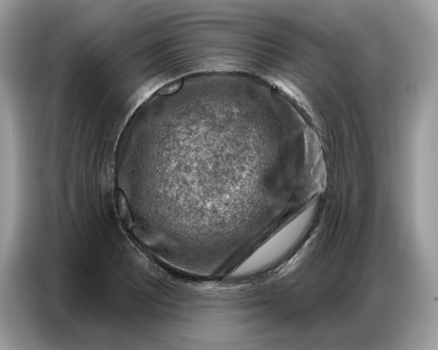 X0000086801081200704271845