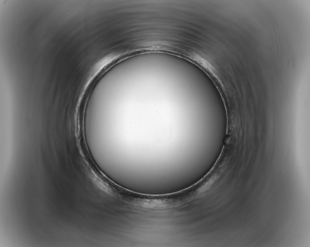 X0000086801082200704271845