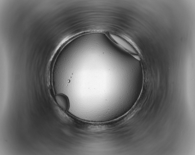 X0000086801083200704271845