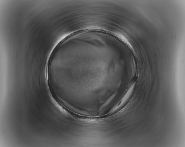 X0000086801084200704271845