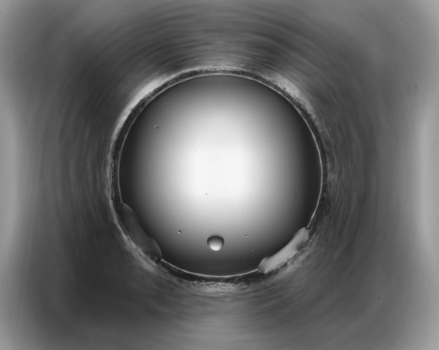 X0000086801085200704271845