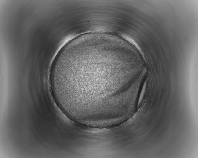 X0000086801091200704271845