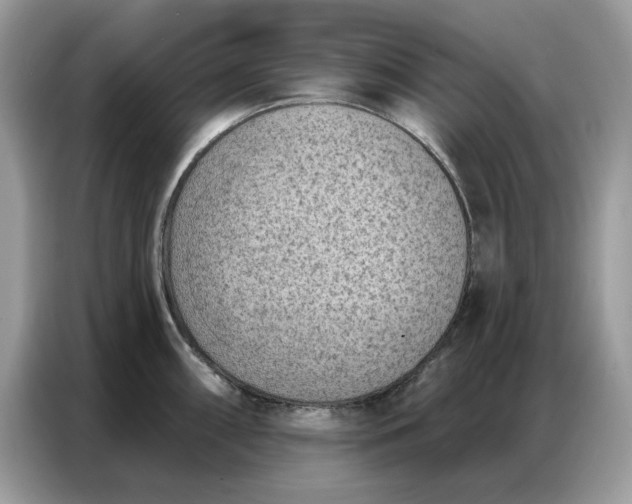 X0000086801098200704271845