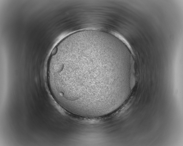 X0000086801099200704271845