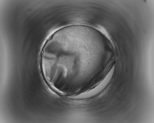 X0000086801102200704271845