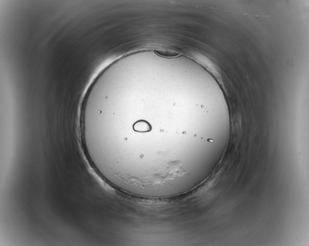 X0000086801103200704271845