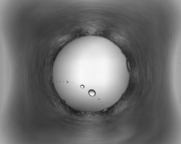 X0000086801105200704271844