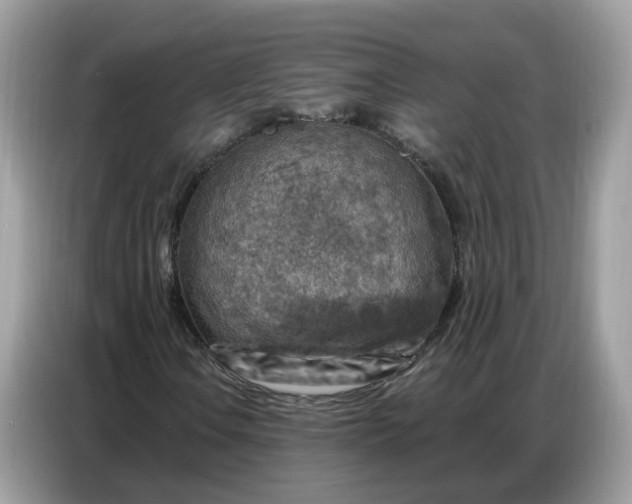 X0000086801106200704271844