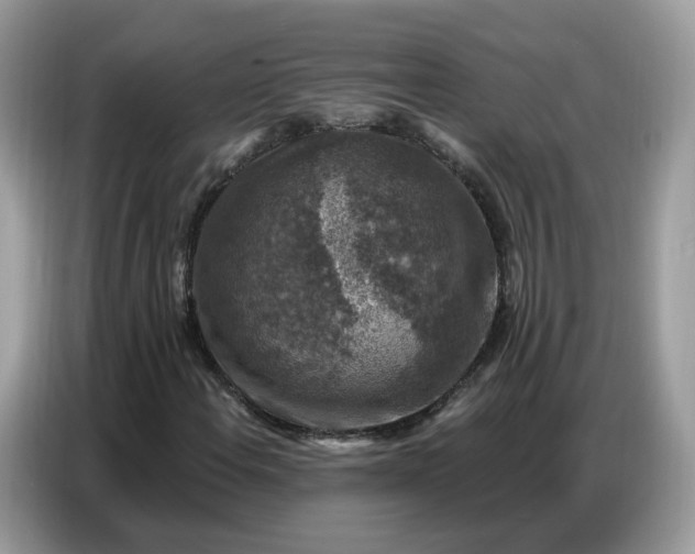 X0000086801108200704271844