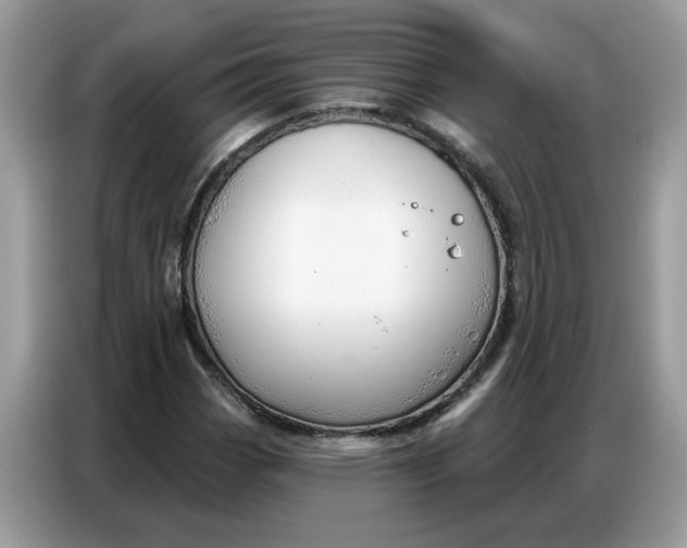 X0000086801113200704271845