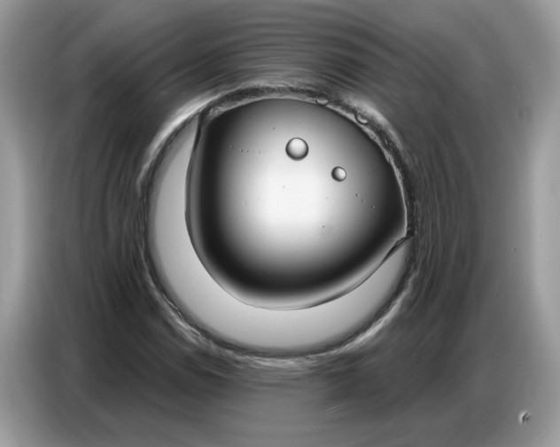 X0000086801114200704271845