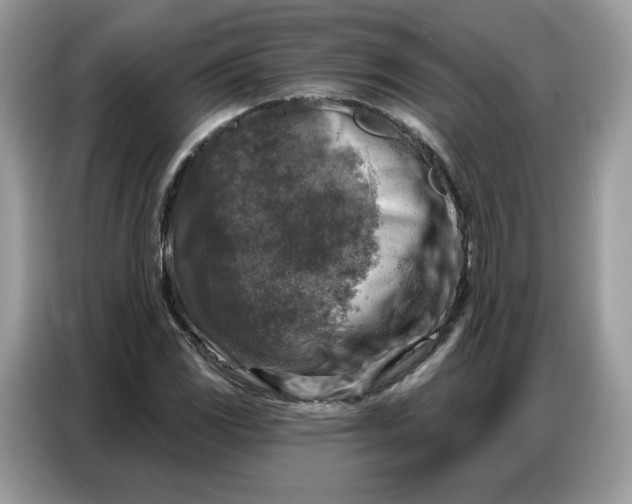 X0000086801117200704271845