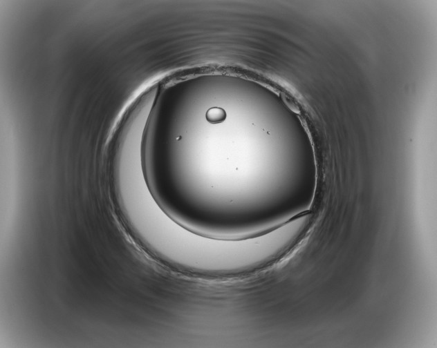 X0000086801118200704271845