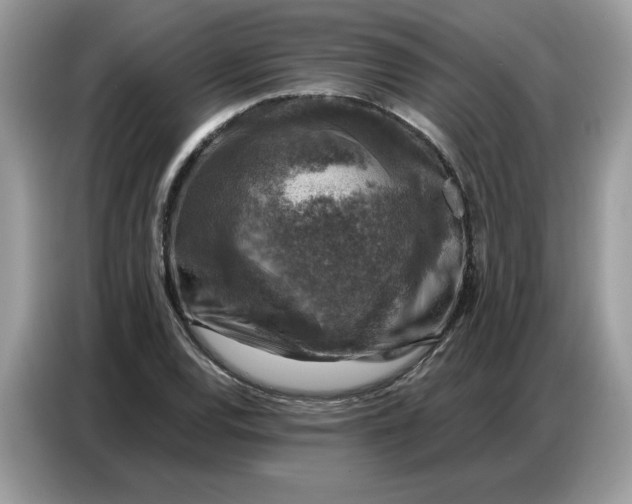 X0000086801120200704271845