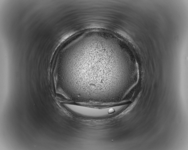 X0000086801121200704271845