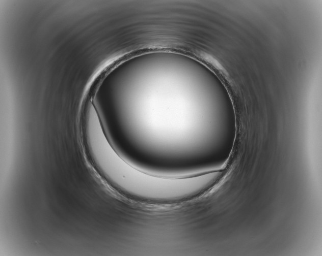 X0000086801122200704271845