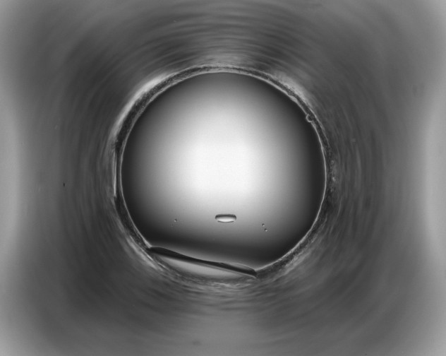 X0000086801123200704271845