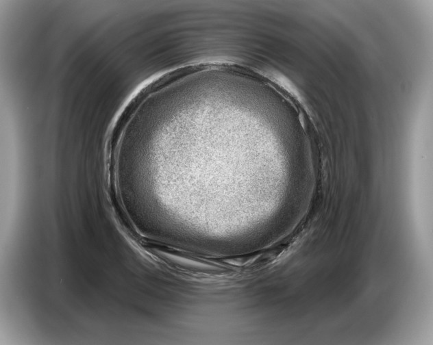 X0000086801124200704271845