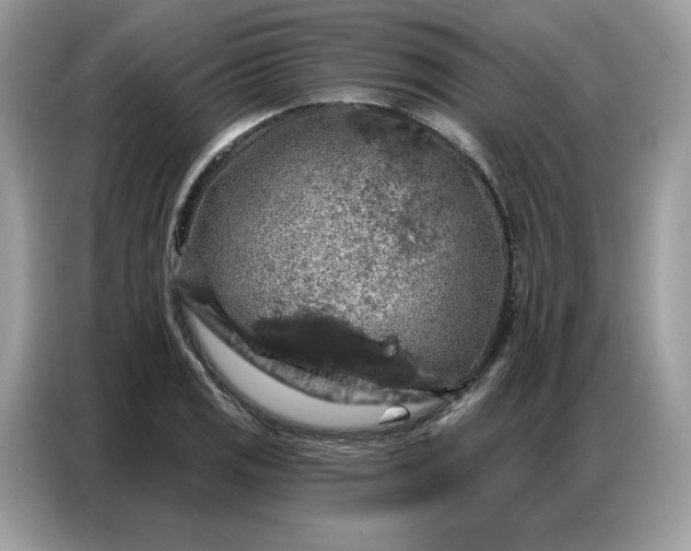 X0000086801125200704271845