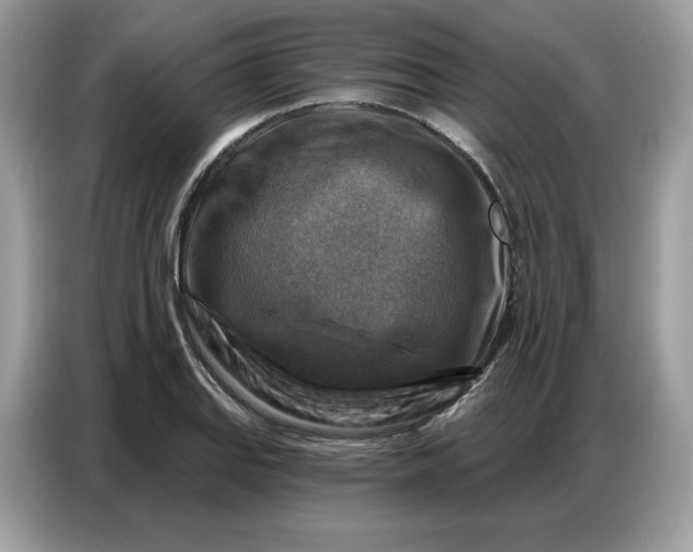 X0000086801127200704271845