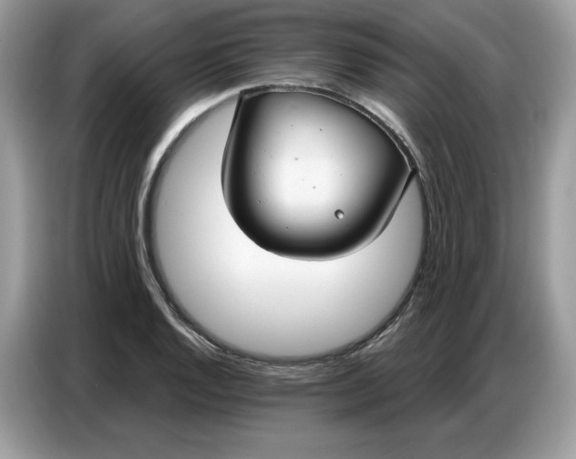 X0000086801128200704271845